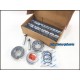 Kingpin Asli - Kingpen - Truck Nissan Euro 2 - PK260CT