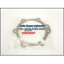 Shim Gardan Asli 38155-90009 - Truck Nissan Euro 2 - CWA260 - PK260CT